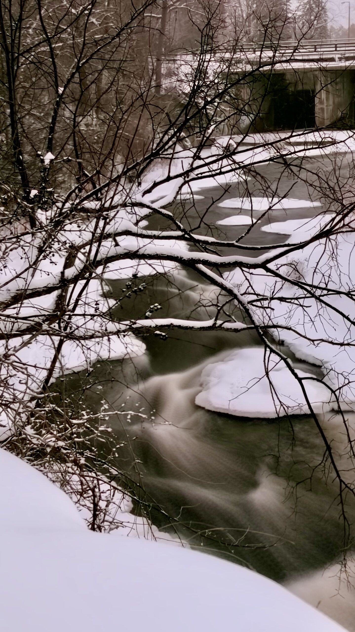 Mooney’s Bay Jan 27 2026