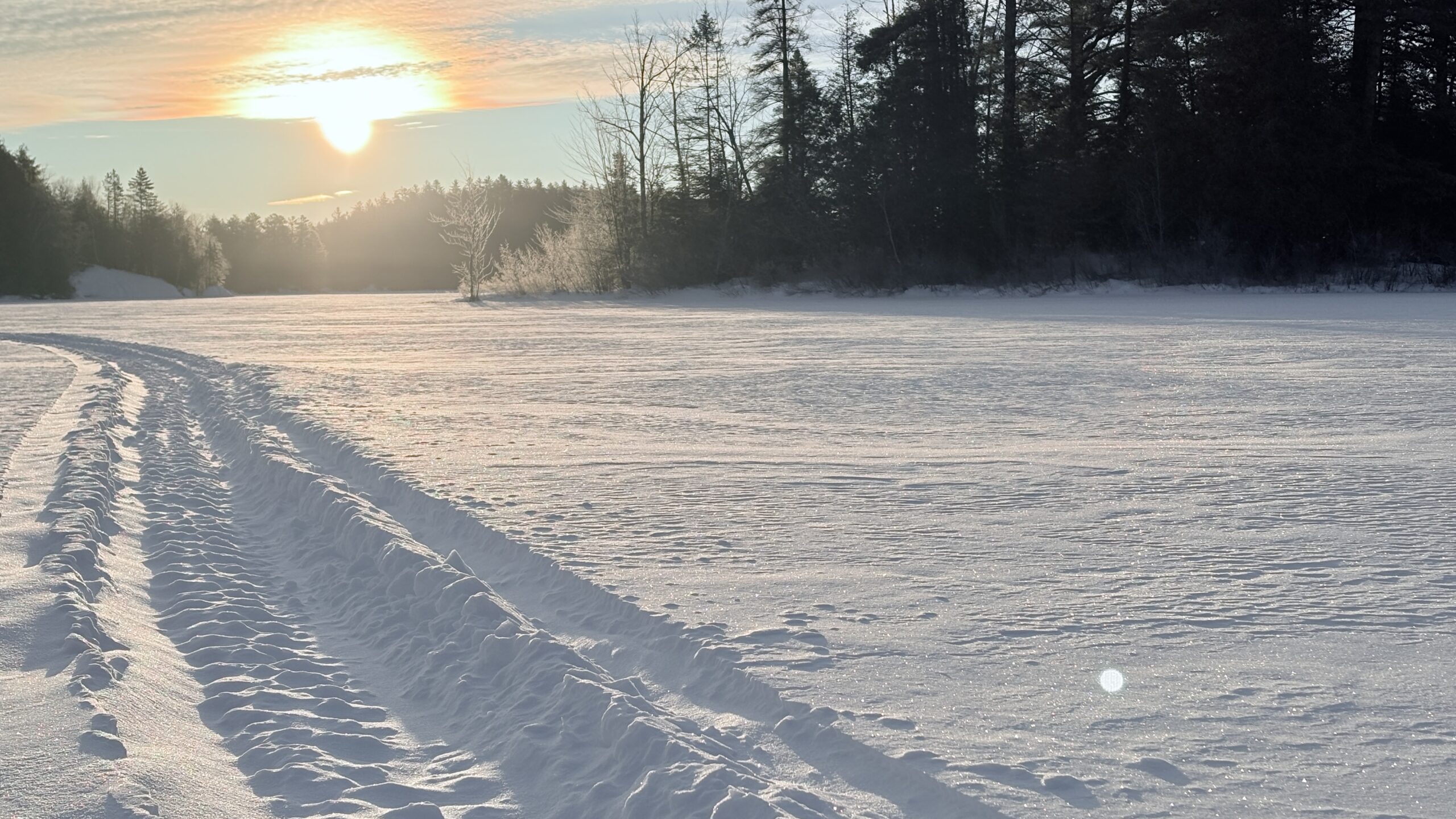 When I was a kid, we read cereal boxes