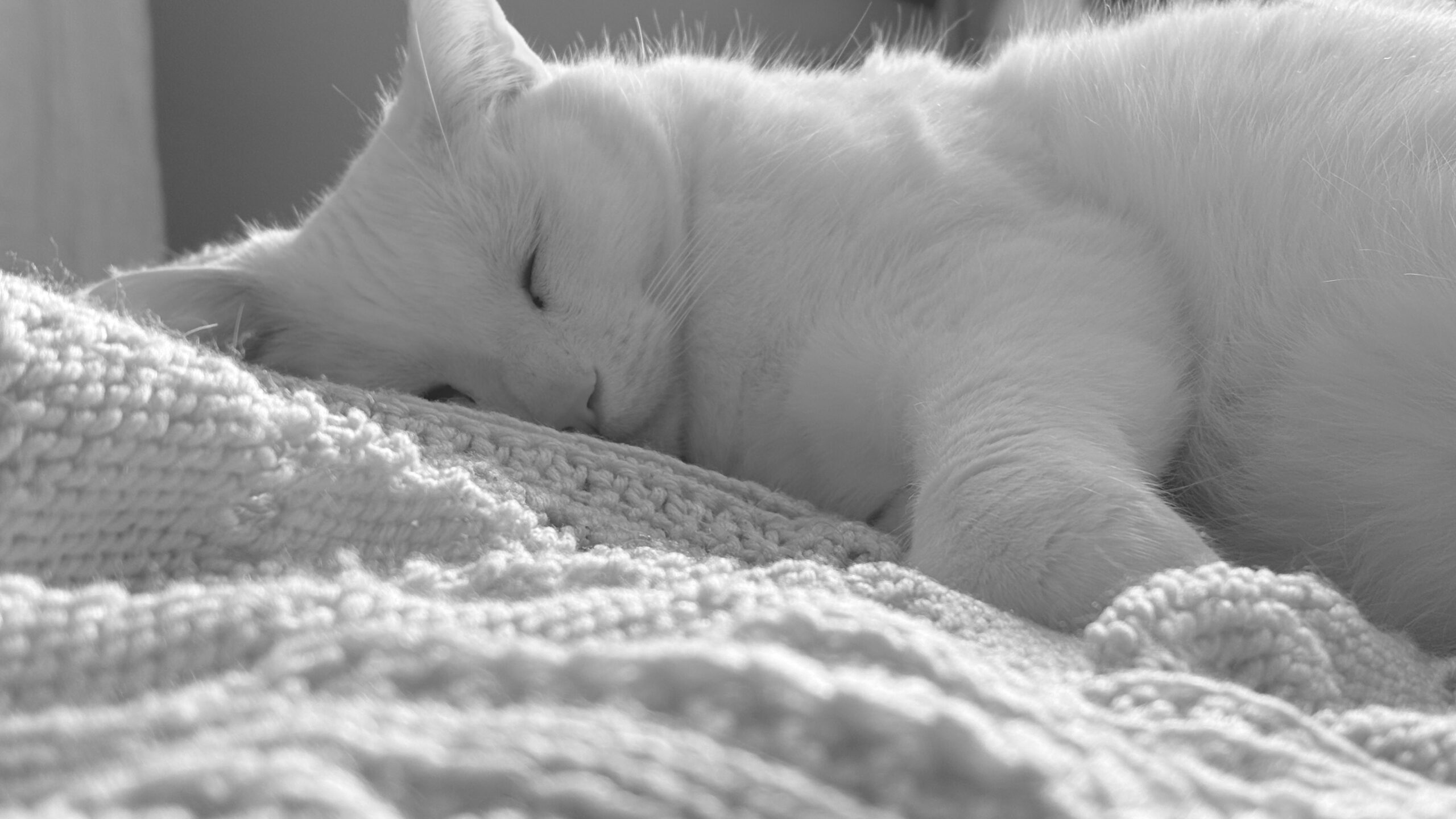 when it’s cold at the end of March