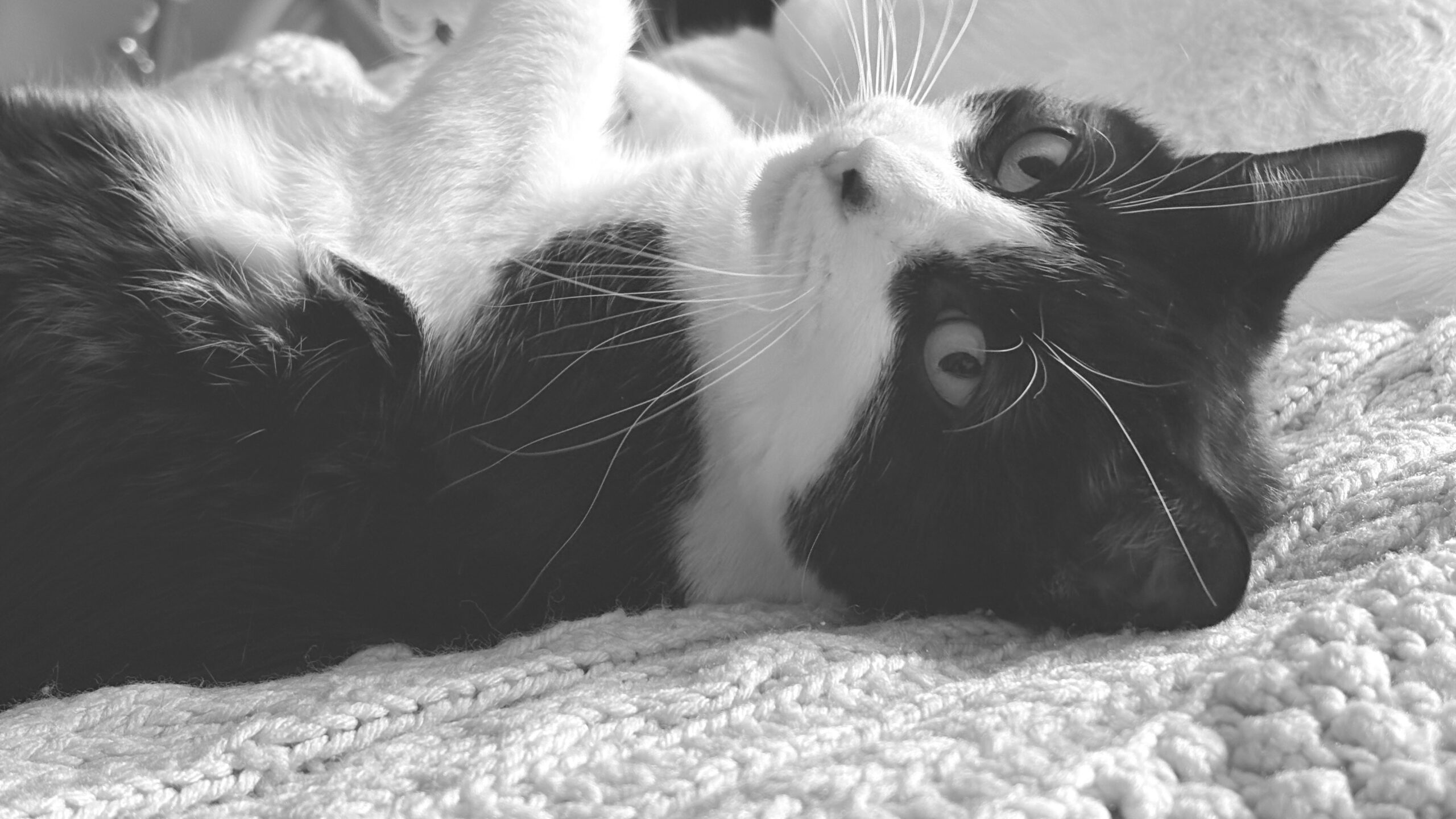 CAN ANYONE TELL WHAT’S IMPORTANT ANYMORE?