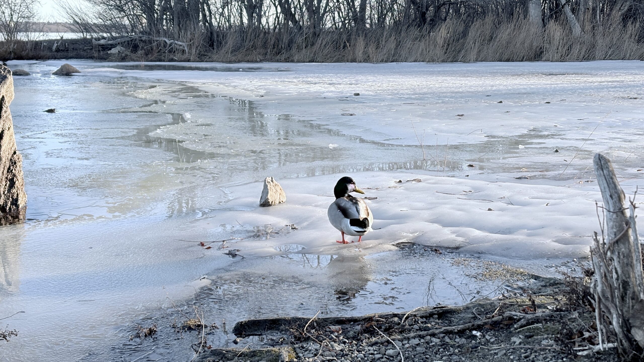 Watching the Sunrise